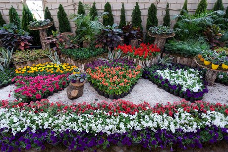 اولین نمایشگاه تولیدات گل و گیاه دانشجویان دانشگاه تهران برگزار می‌شود